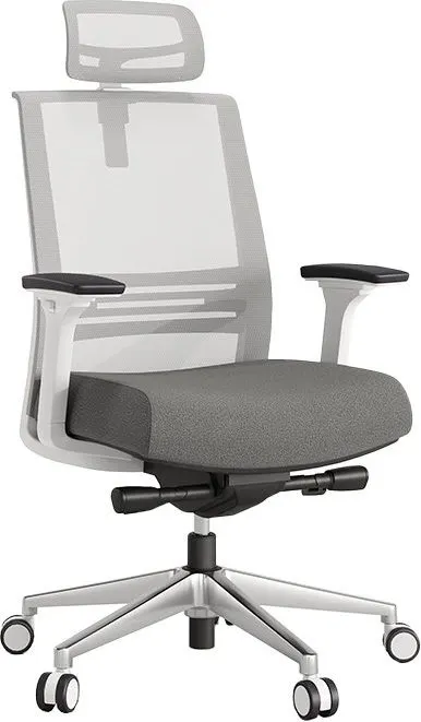 Axento Fileli Ergonomik Yönetici Koltuğu