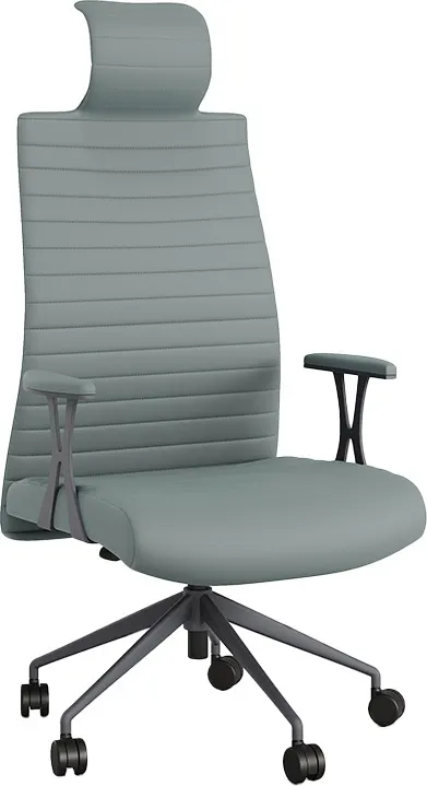Romane Başlıklı Yönetici Koltuğu