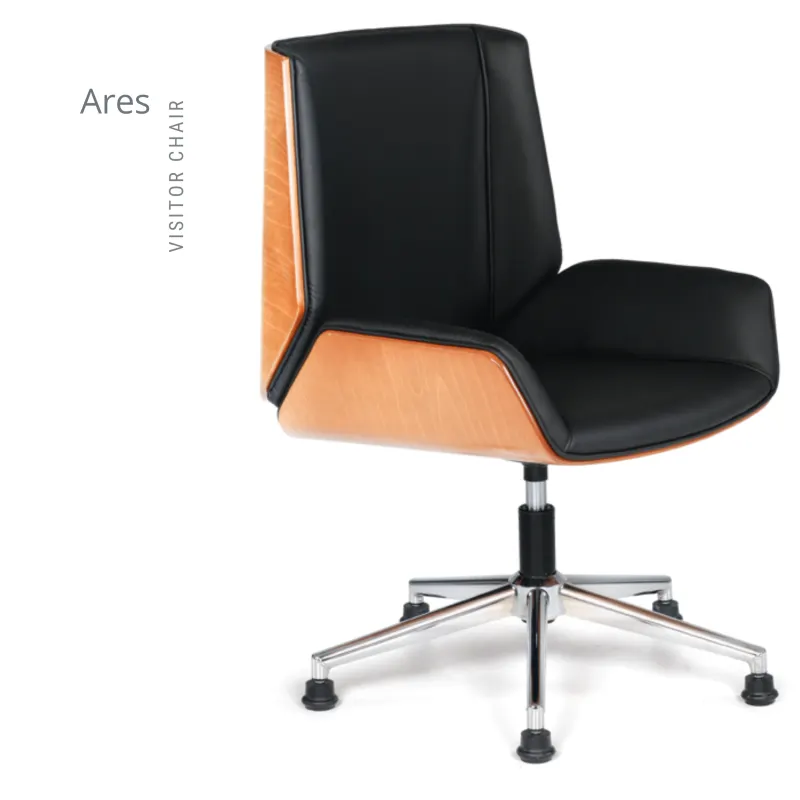 ARES MİSAFİR KOLTUK