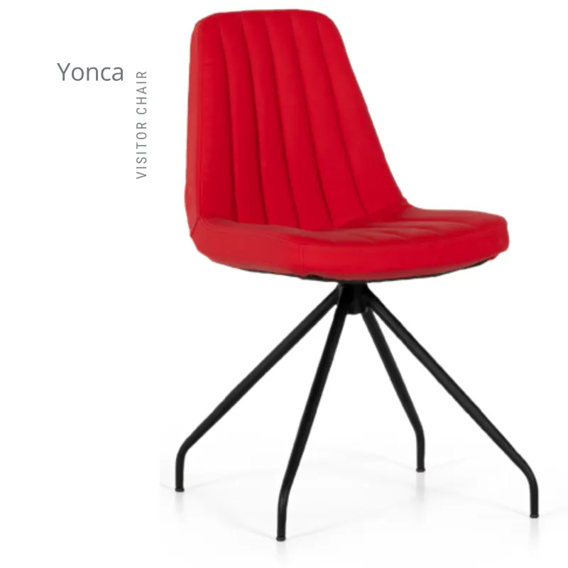 YONCA MİSAFİR KOLTUK