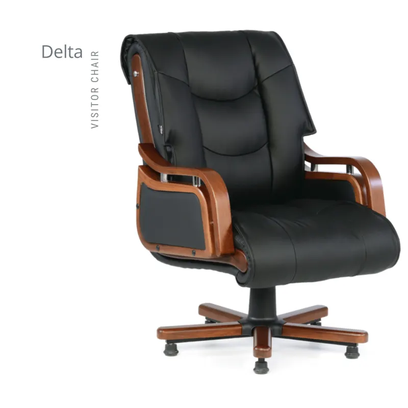 DELTA MİSAFİR KOLTUK