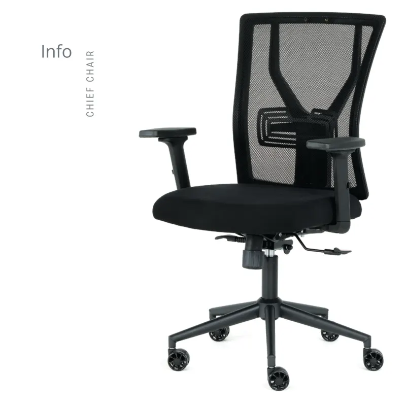 İNFO FİLELİ ŞEF KOLTUK