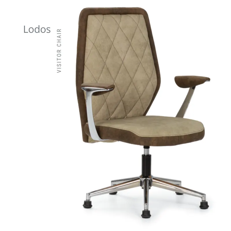 LODOS MİSAFİR KOLTUK