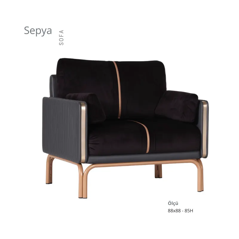SEPYA KOLTUK TAKIMI