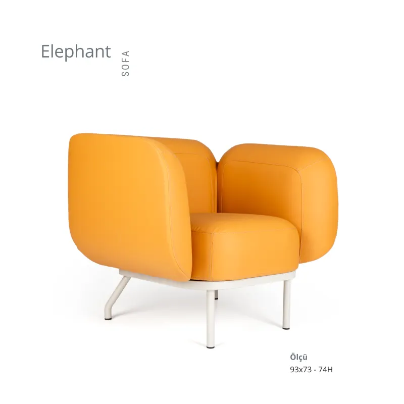 ELEPHANT KOLTUK TAKIMI