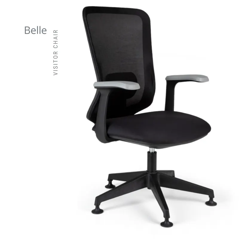 BELLE MİSAFİR KOLTUK